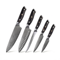 Set of 5 Japanese Knives - Chef Yakumoto